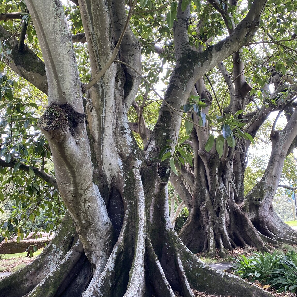 Foundations of Wellness