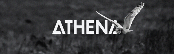 A Bold Step Towards the Future With a New Brand