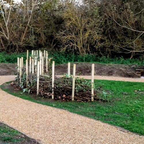 Photo of dead hedge now in place at Kronji's