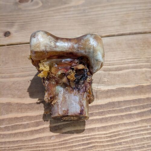 Ostrich Knee Knuckle