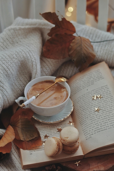 *DIG THIS NOVEMBER 2024 - JANUARY 2025*