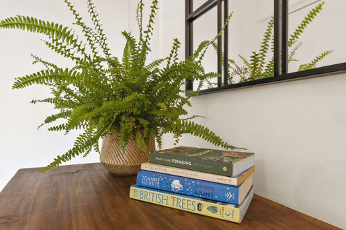 Wish Hill, Eastbourne