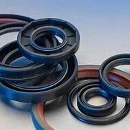 OIL SEALS