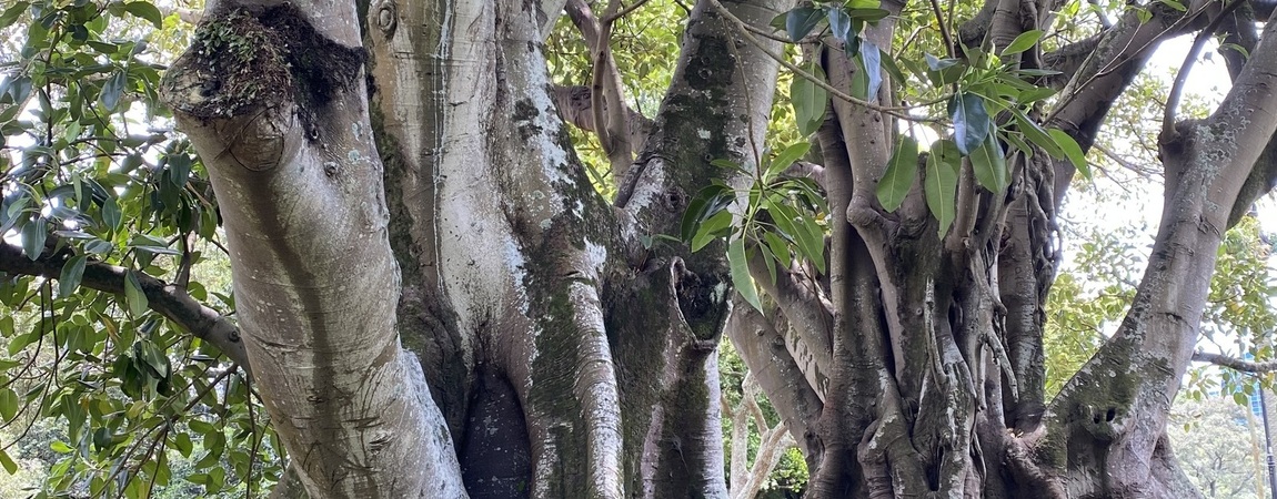 Ketamine assisted therapy aftercare coaching and mentoring