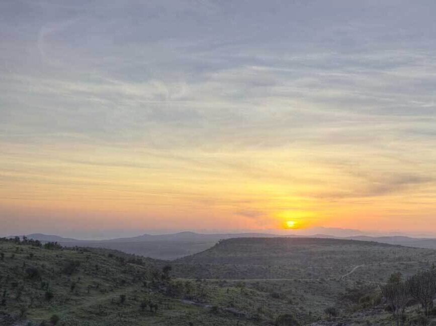 A Journey to Pride Rock