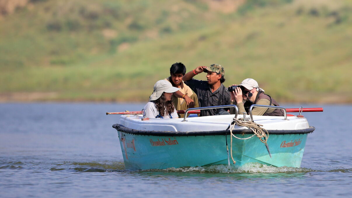 Chambal Safari Lodge