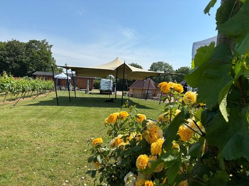 Gallery | Yorkshire Stretch Tents | Bespoke Stretch Tents Hire Yorkshire | Festival Marquee Hire | Wedding Venue Tent Hire
