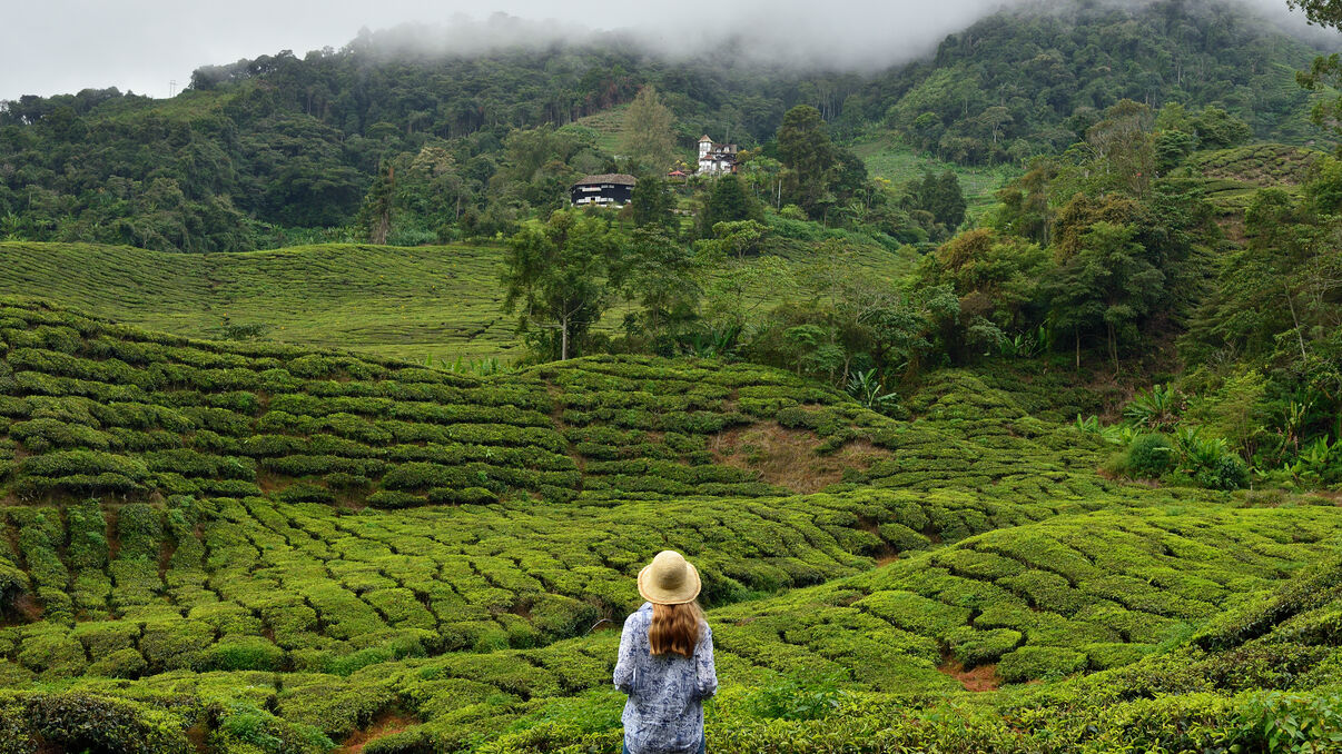 Places To Visit | Peacock Tours  | Sri Lanka Luxury Holidays | India Luxury Holidays | Seychelles Luxury Holidays