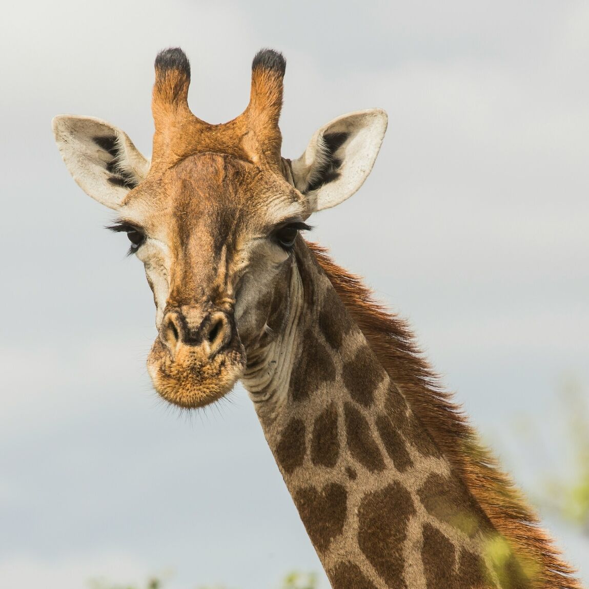 South Africa Retreat