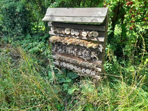 Late Summer in Oxfordshire 2026