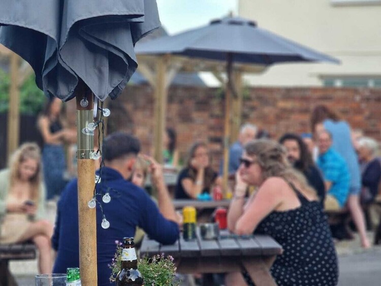 Welcome Parrots return...