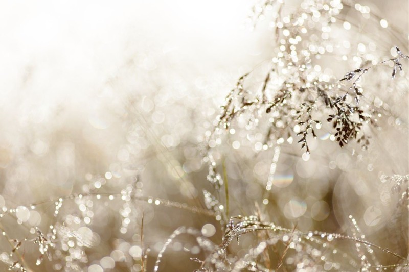 How Trauma Therapy Guides You Through the 3 Stages of Healing from Trauma