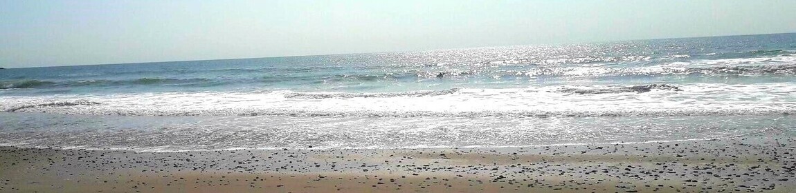 Good Citizen Dog Training