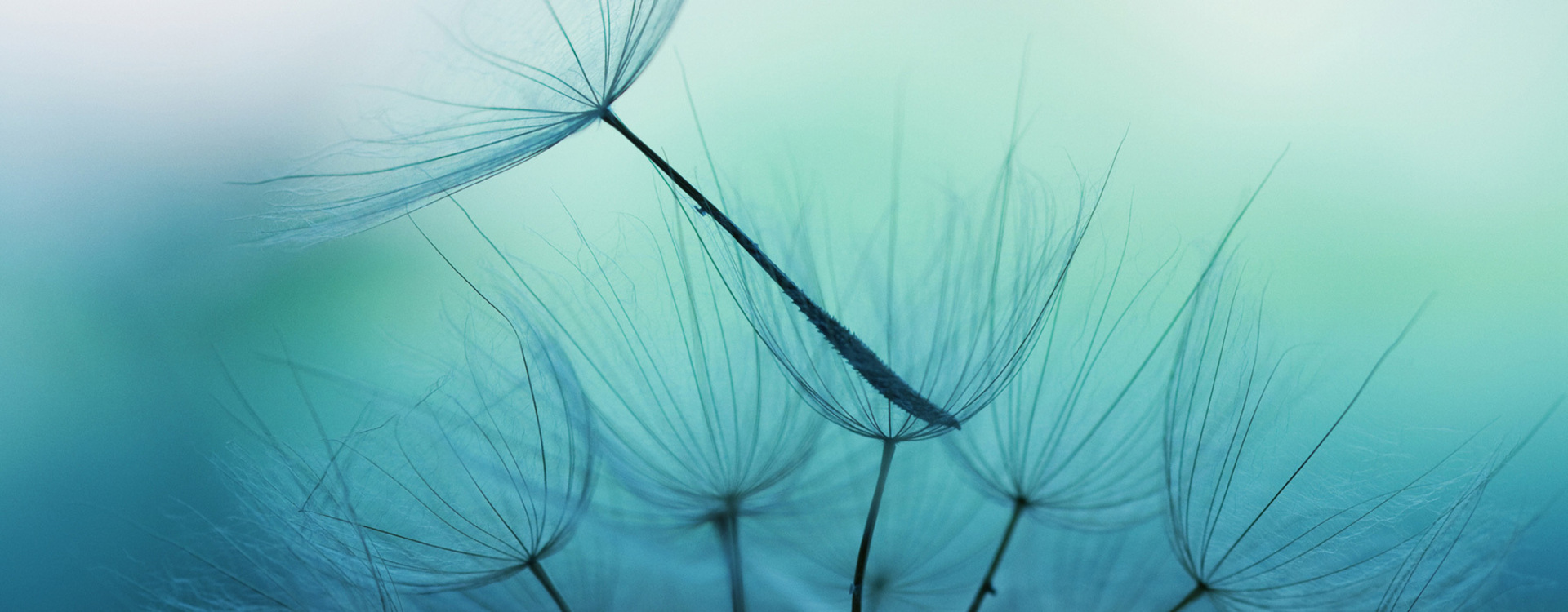 Relationship Counselling in West London