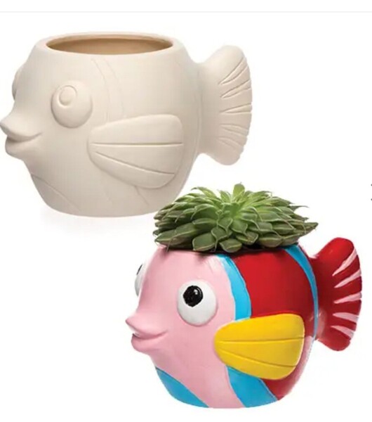 Classes, and One-One Tuition