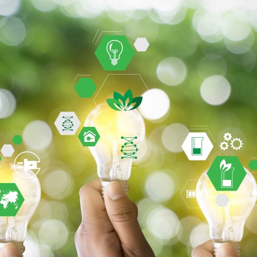Managed Service Providers Leading the Way in Sustainable IT Solutions