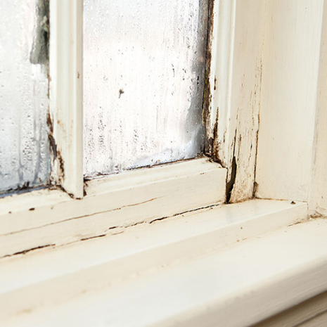 Tayross Associates Leads Comprehensive Window Survey for Central London Residential Conversion