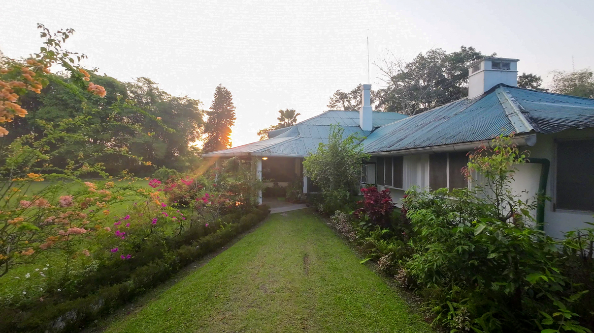 Wild Mahseer Balipada