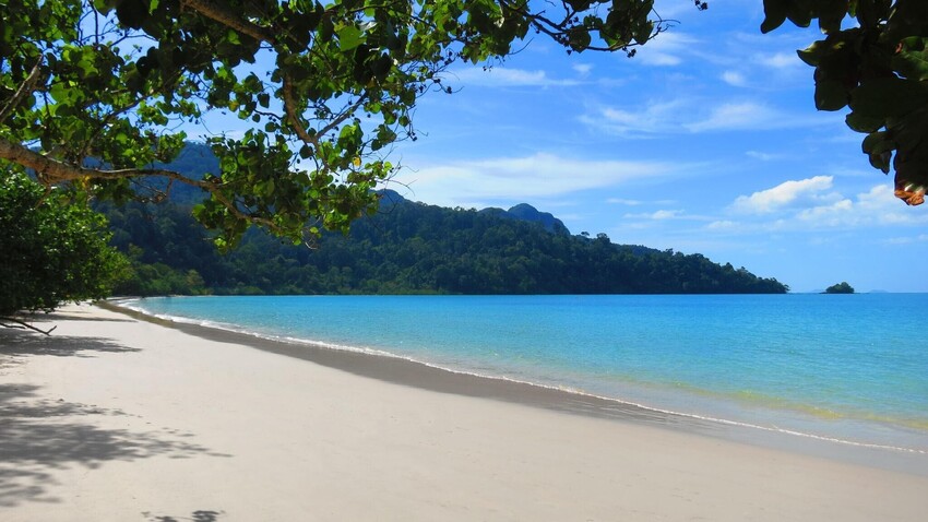 Tailor-Made Wellbeing Holidays | Peacock Tours
