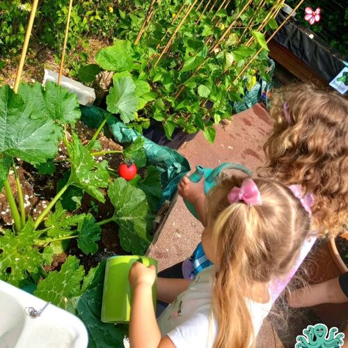 Little pals children's centre nursery | Little Pals Nursery