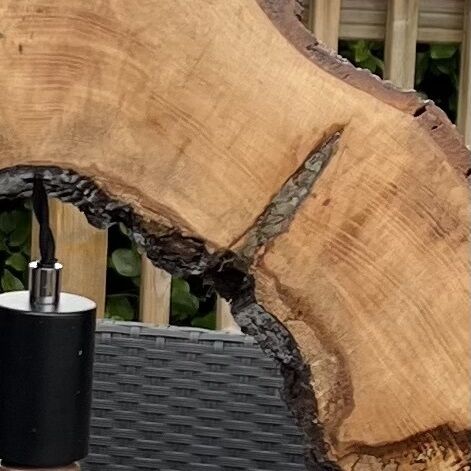 Large Natural Wood Art Lamp.