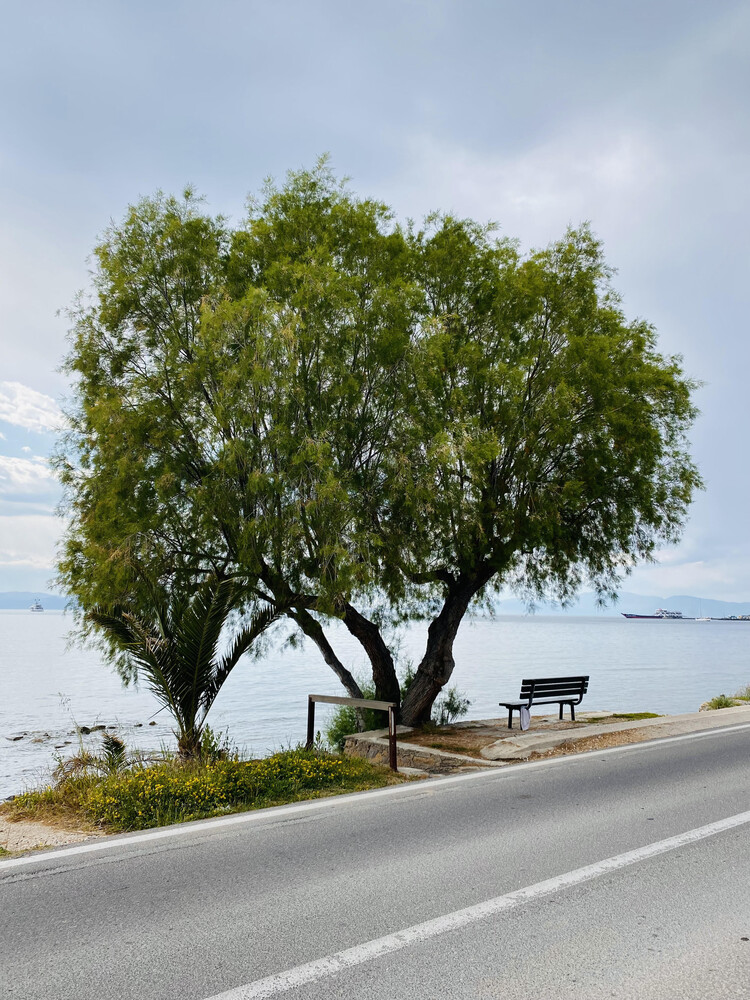 A Sense Of Belonging