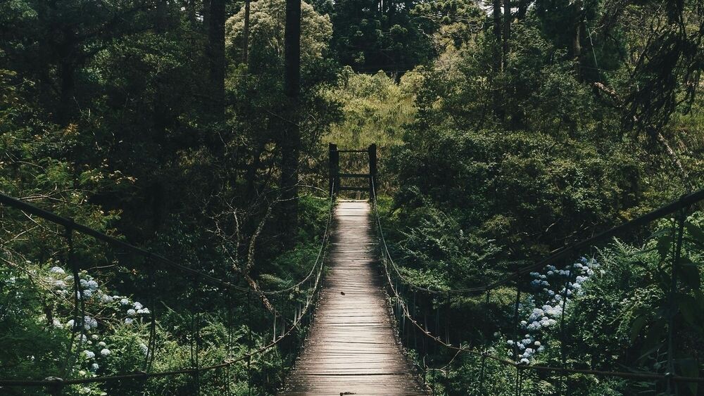 Maybe Acceptance Is All We Need