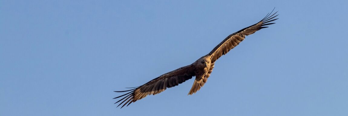 South Africa Retreat (original)