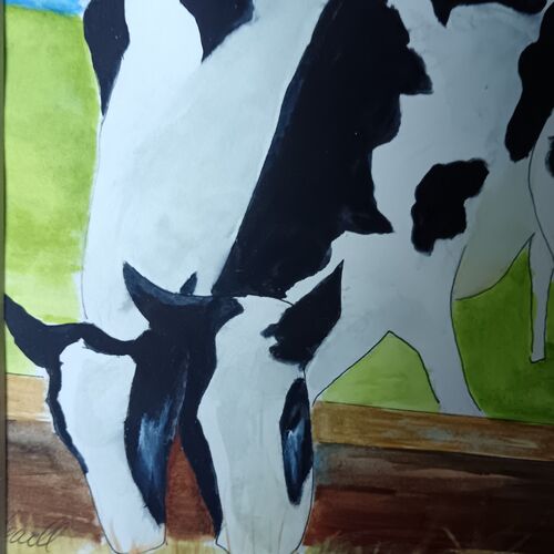 Three cows munching hay