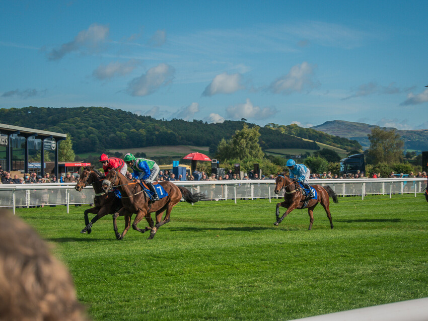 Ludlow Races | Holidayhouseludlow.co.uk