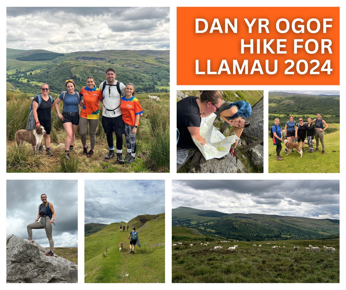 MSS Employees Embark on 13.4km Charity Hike to Support Llamau