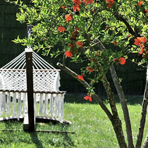 Dalyan Turkey | Harmonyoga | Yoga Classes in Surrey | Yoga Teacher Training Esher Surrey | Online Yoga for Flexibility and Wellbeing
