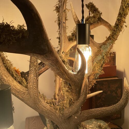 Large 5 Branch Antler Lamp Copy