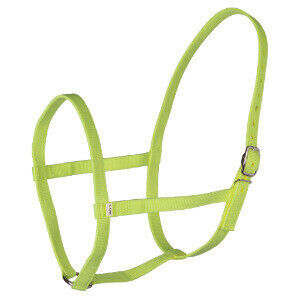 Shetland Fluor Green UH