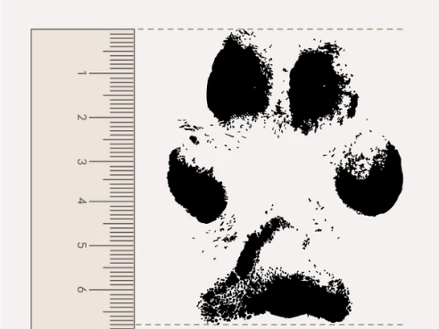 Personalised Citrine Candle Holder