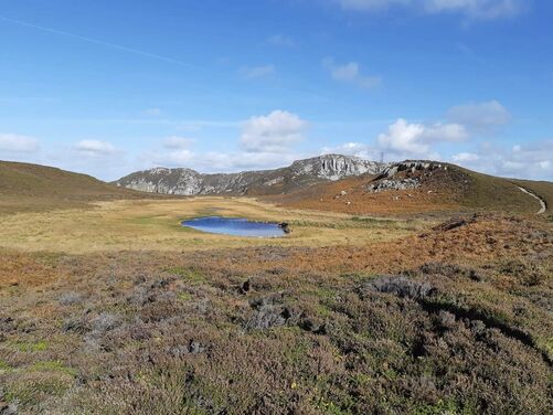 FULL - Isle of Anglesey, Wales 2026 - FULL