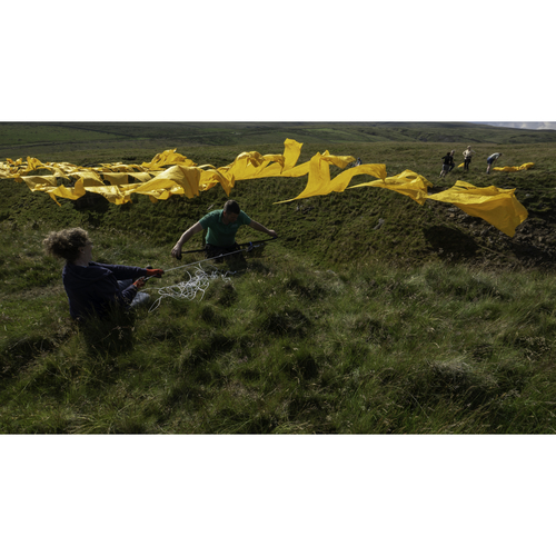 Art installation "Hush" - County Durham