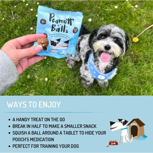Peamutt Butter Balls Dog Treats 6 balls Packet 45g