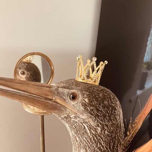 allCRAP | Cornish Driftwood Items Upcycled for the Home or Office