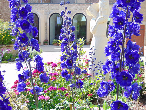 Late Summer in Oxfordshire 2026