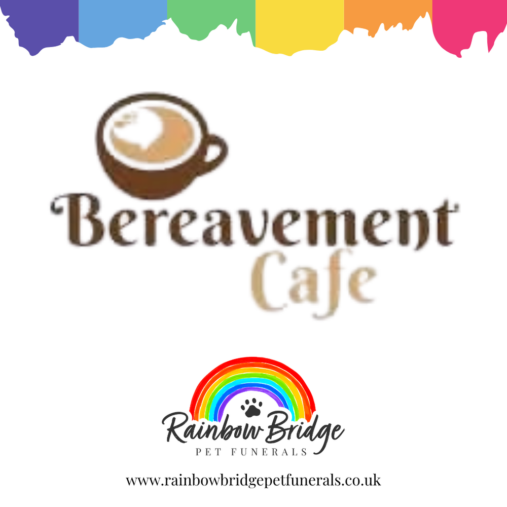 Introducing the Pet Bereavement Café |