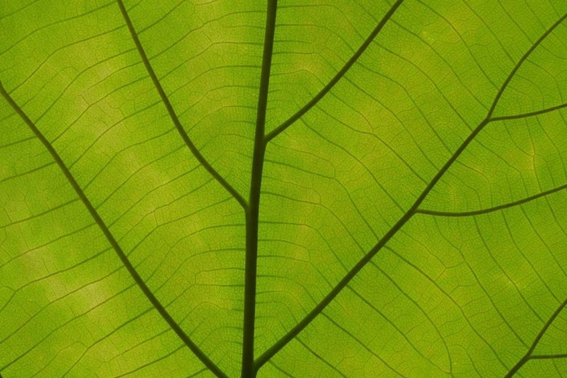 Treating Trauma with EMDR Intensives 