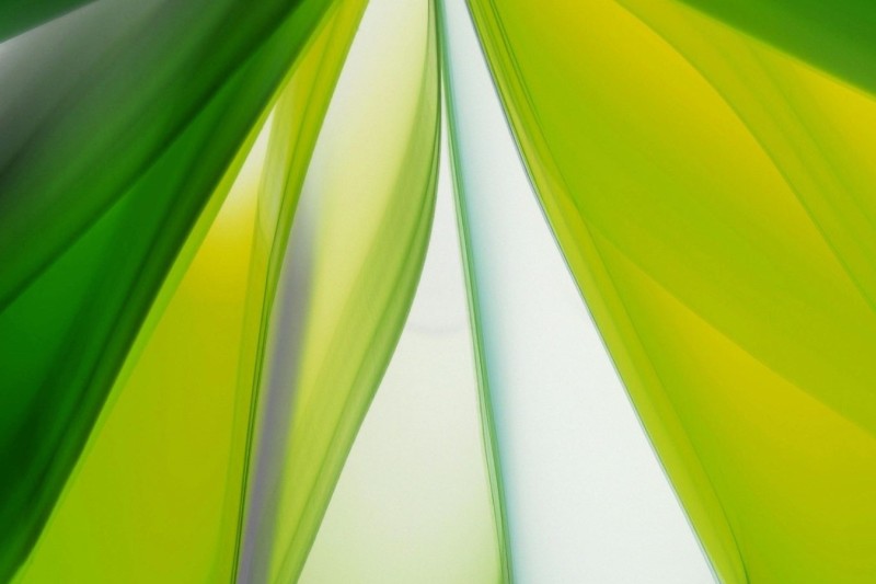 Advice to Trauma Survivors – 5 Ways of Dealing with PTSD Flashbacks