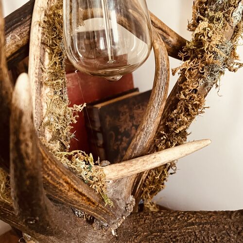 Large 5 Branch Antler Lamp Copy