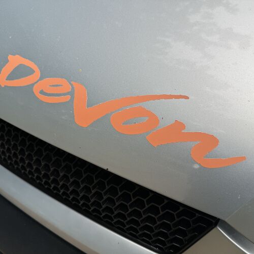 Devon Monte Carlo 2006 Renault Master LWB Camper Van - 1 Owner 18yrs