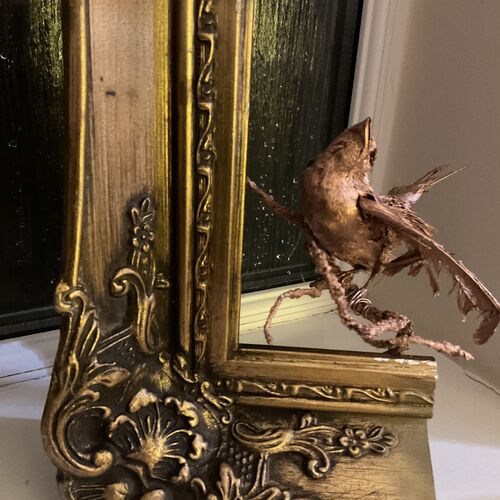 Golden Taxidermy Art Work.