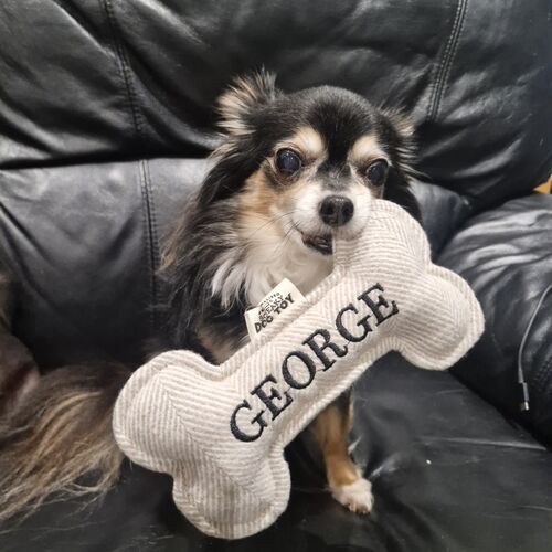 Online Book of Remembrance | Rainbow Bridge Pet Funerals