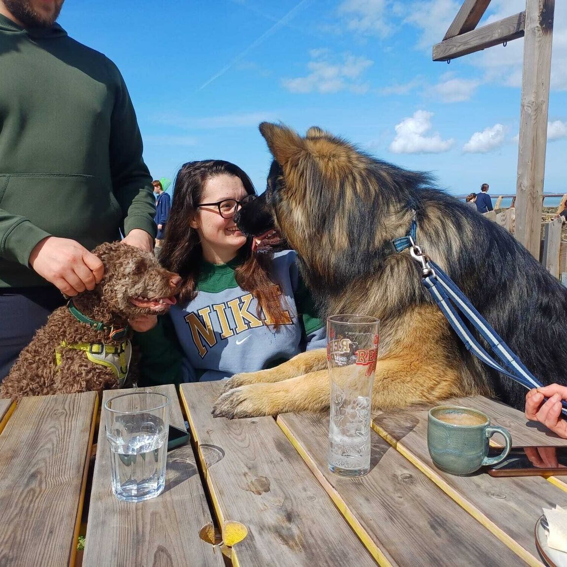Classes | Help My Dog | Dog trainer Pembrokeshire | Dog behaviourist Pembrokeshire | Help my dog
