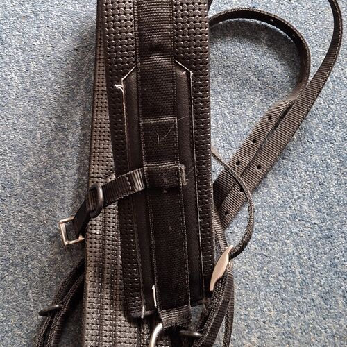 Tedex Breeching (Pony) *Secondhand*