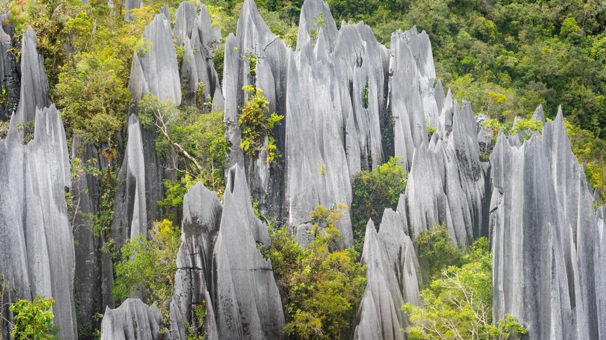 Mulu Park Chalets